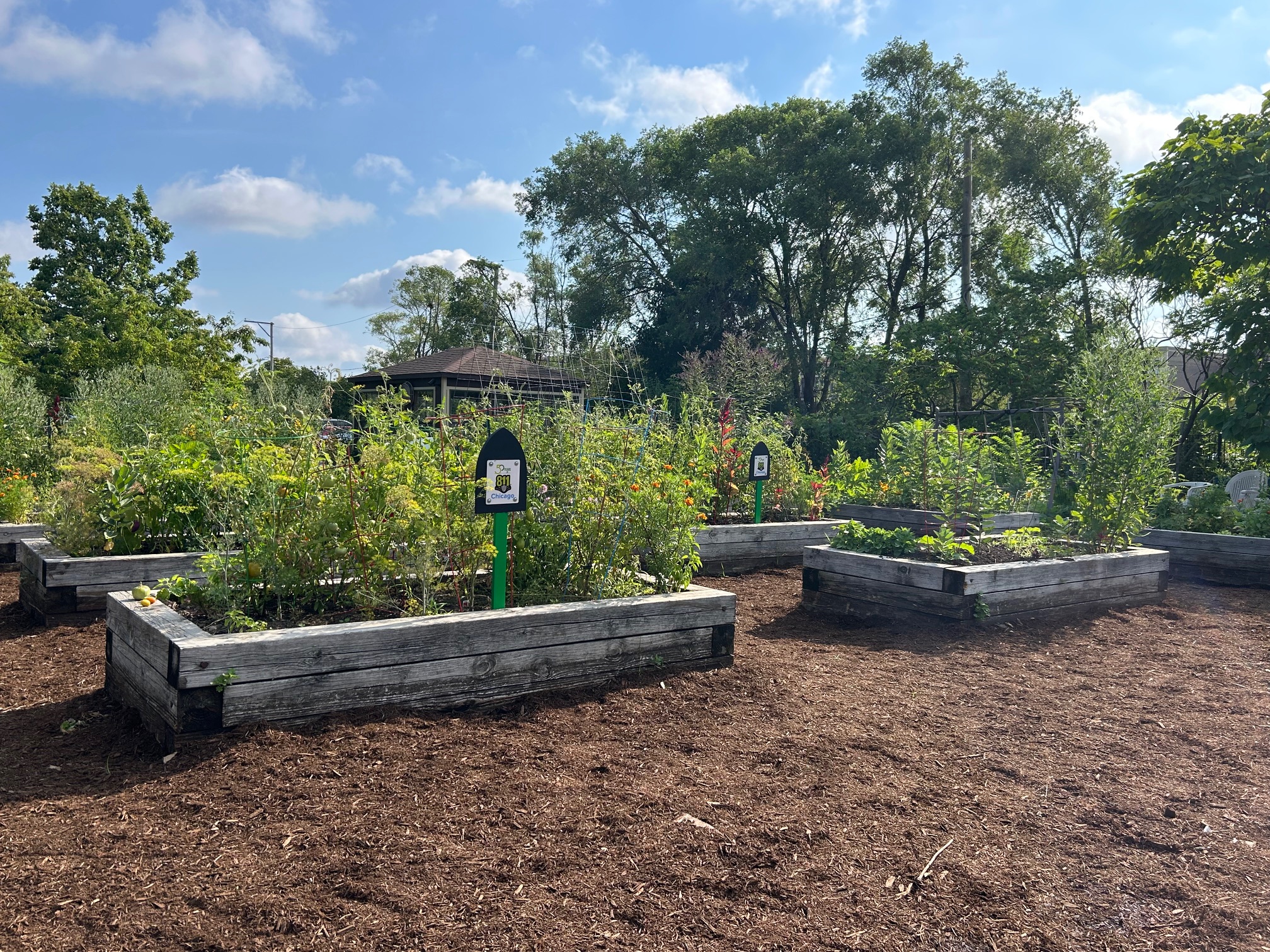 811 sign at Edna White Community Garden